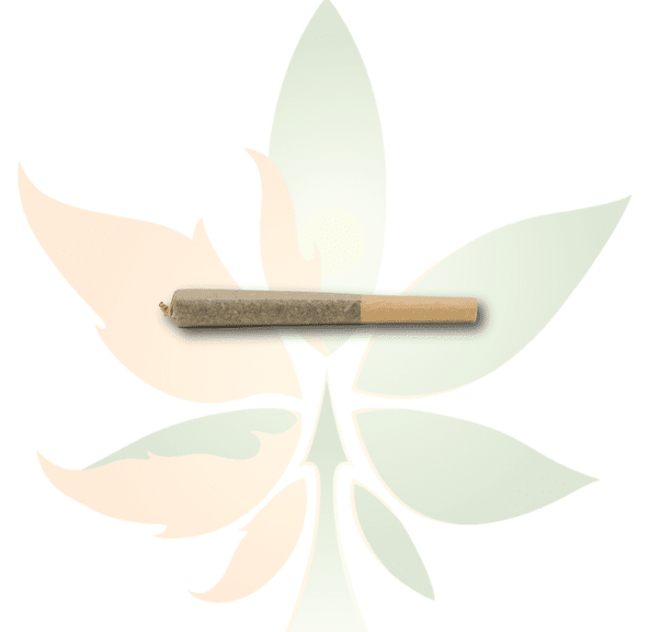 $4 House - Pre Roll