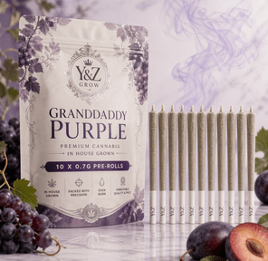 0.7G Pre-Roll: Granddaddy Purple (I) 10 PACK