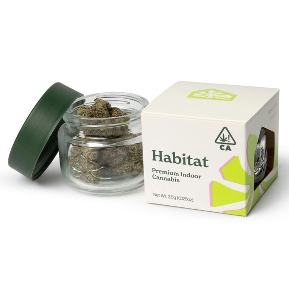 Green Habitat- Champagne 3.5g (I)