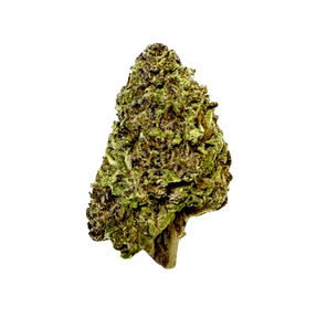 Black Cherry Soda (Economy)