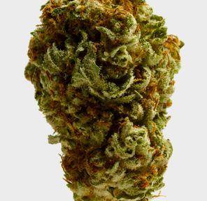 Double Bubble Gelato (Indica) THC 28.57%