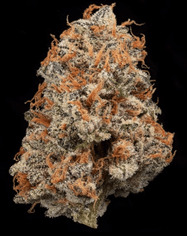 MVN - Packaged Gram - Midnight Snacks