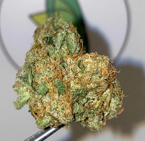 Dolato 41 (I/H) | 1/8 oz | Smyth Cannabis Co.