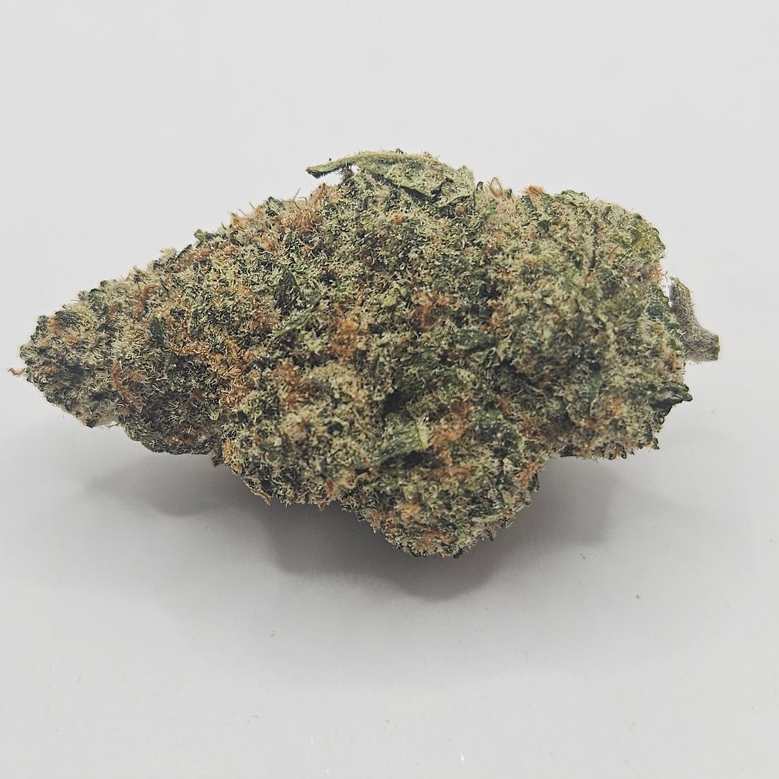 *Indoor - Gelato 33 - 23% - H