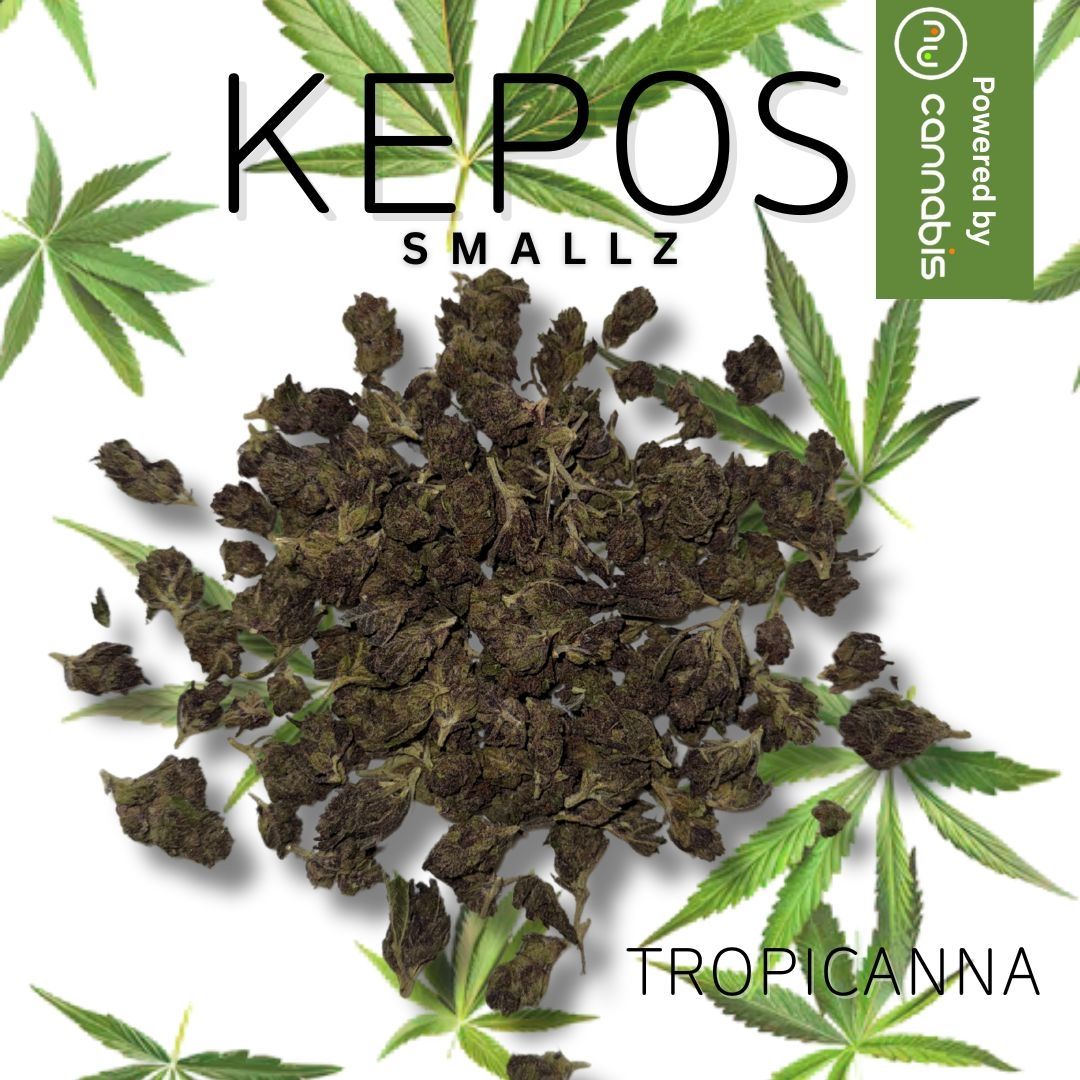 Kepos - Tropicana Gelato SMALLS 28g - SMALLS