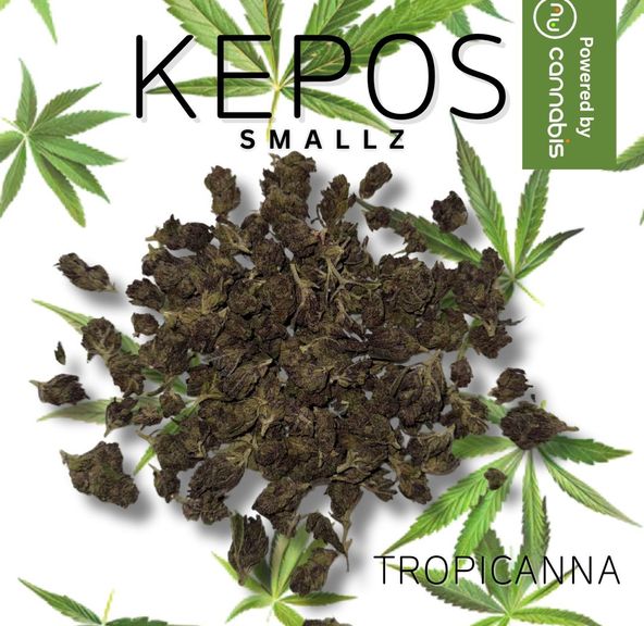 Kepos - Tropicana Gelato SMALLS 28g - SMALLS