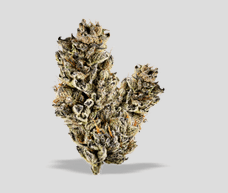 Unbound Flower - Rosanna