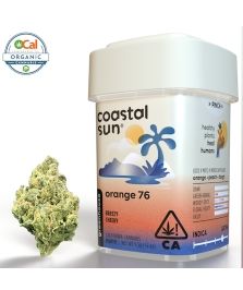 Coastal Sun - Orange 76 - 3.5g