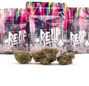 *Deal! $109 Choose Any (3) Indoor 1/8s by The Re-Up