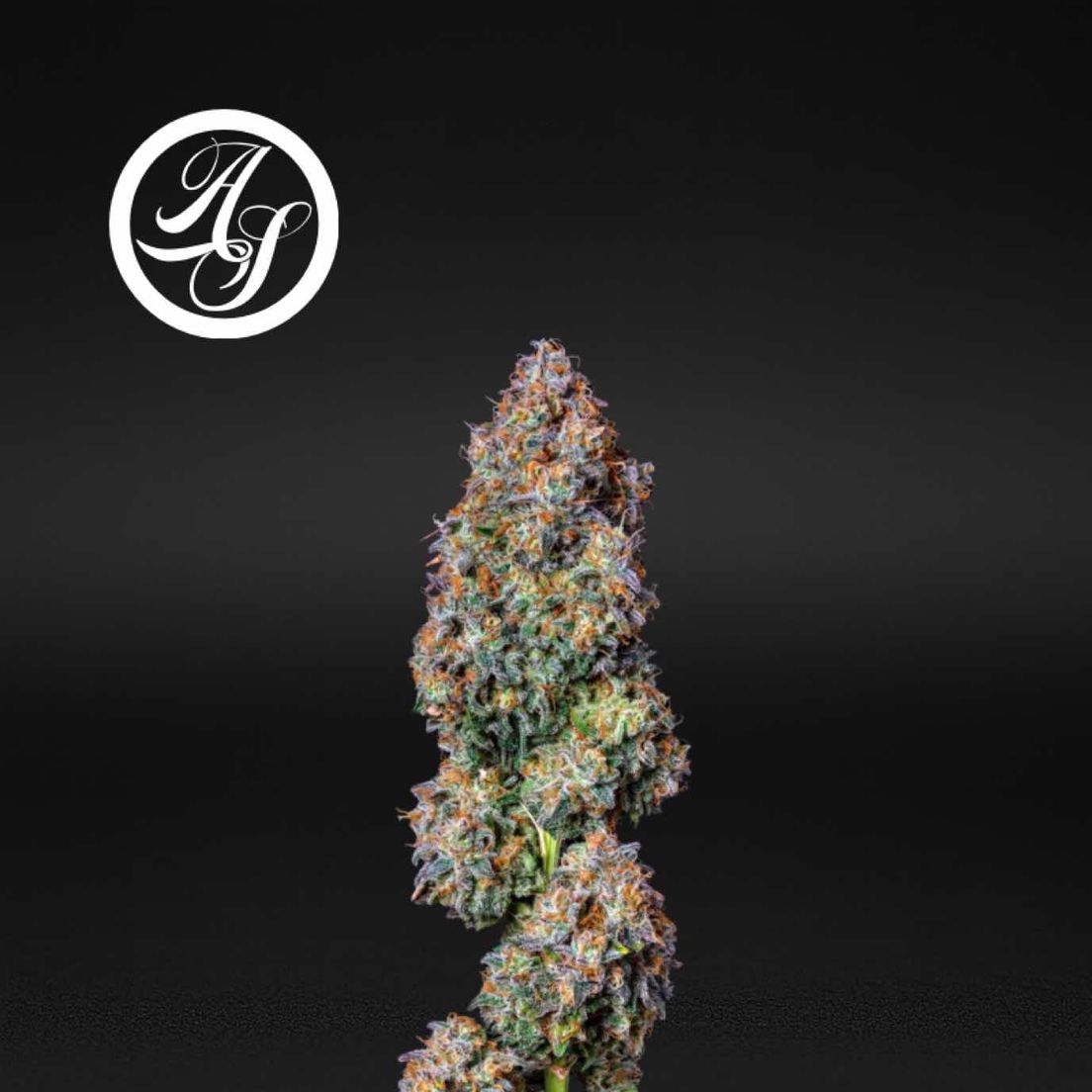 Alt Sol | Tiger Rose - Flower | 3.5g | Sativa-Hybrid