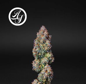 Alt Sol | Tiger Rose - Flower | 3.5g | Sativa-Hybrid