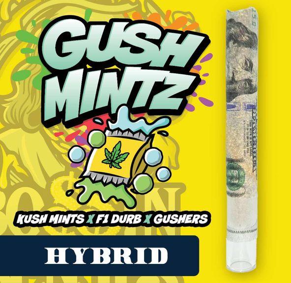 RR|Bossin Benji|Gush Mintz