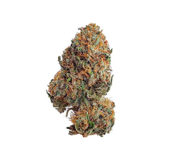 Bubble Gum