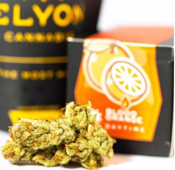 Blood Orange - 3.5g (28% THC) Elyon