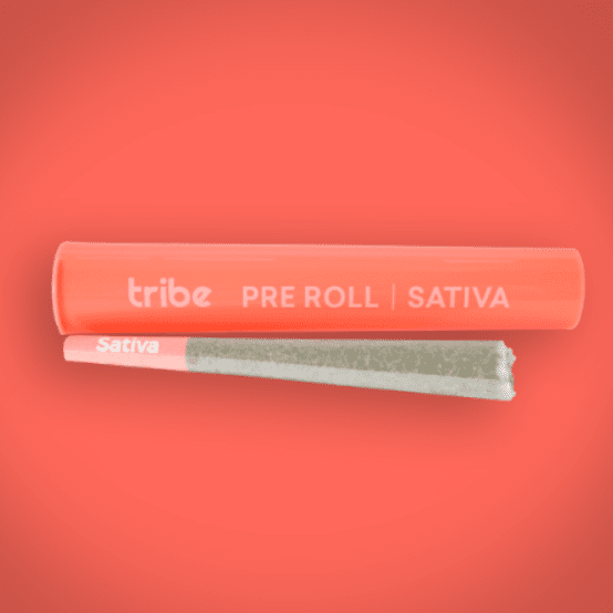 Chem Chron - Sativa - Pre Roll