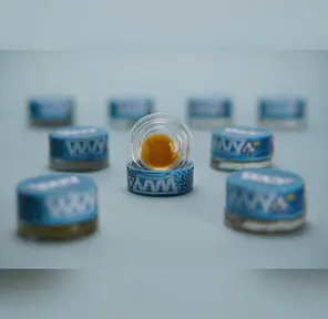 GMO Cookies Budder 1.00 g
