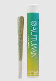 AUTUMN BRAND - Sour Mango - Pre Roll - 1g