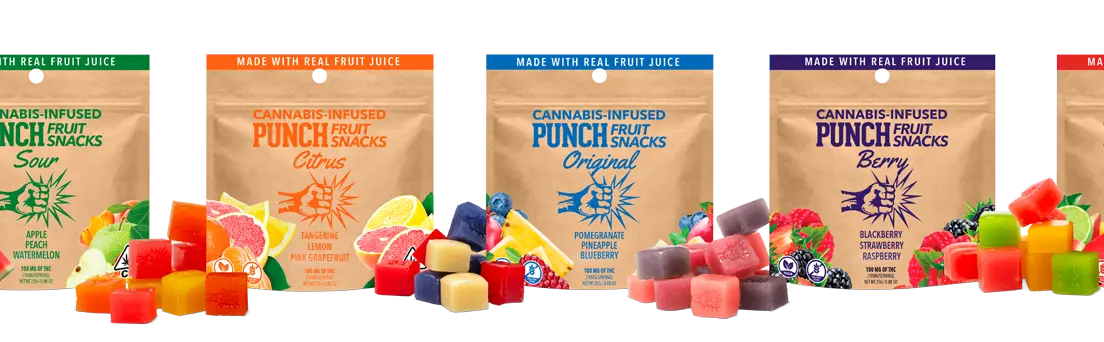 100mg Citrus Fruit Snacks - PUNCH EDIBLES