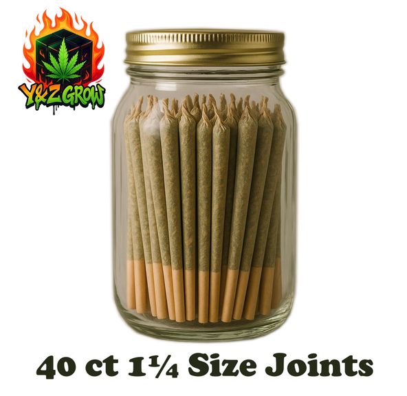 40 ct Pack 1¼ Size 0.75g Pre-Roll Jar - Blueberry (Hybrid)