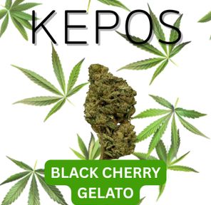 Kepos - Black Cherry Gelato 3.5g - PREMIUM FLOWER