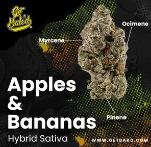 Apples and Bananas 3.5G (UNITS)