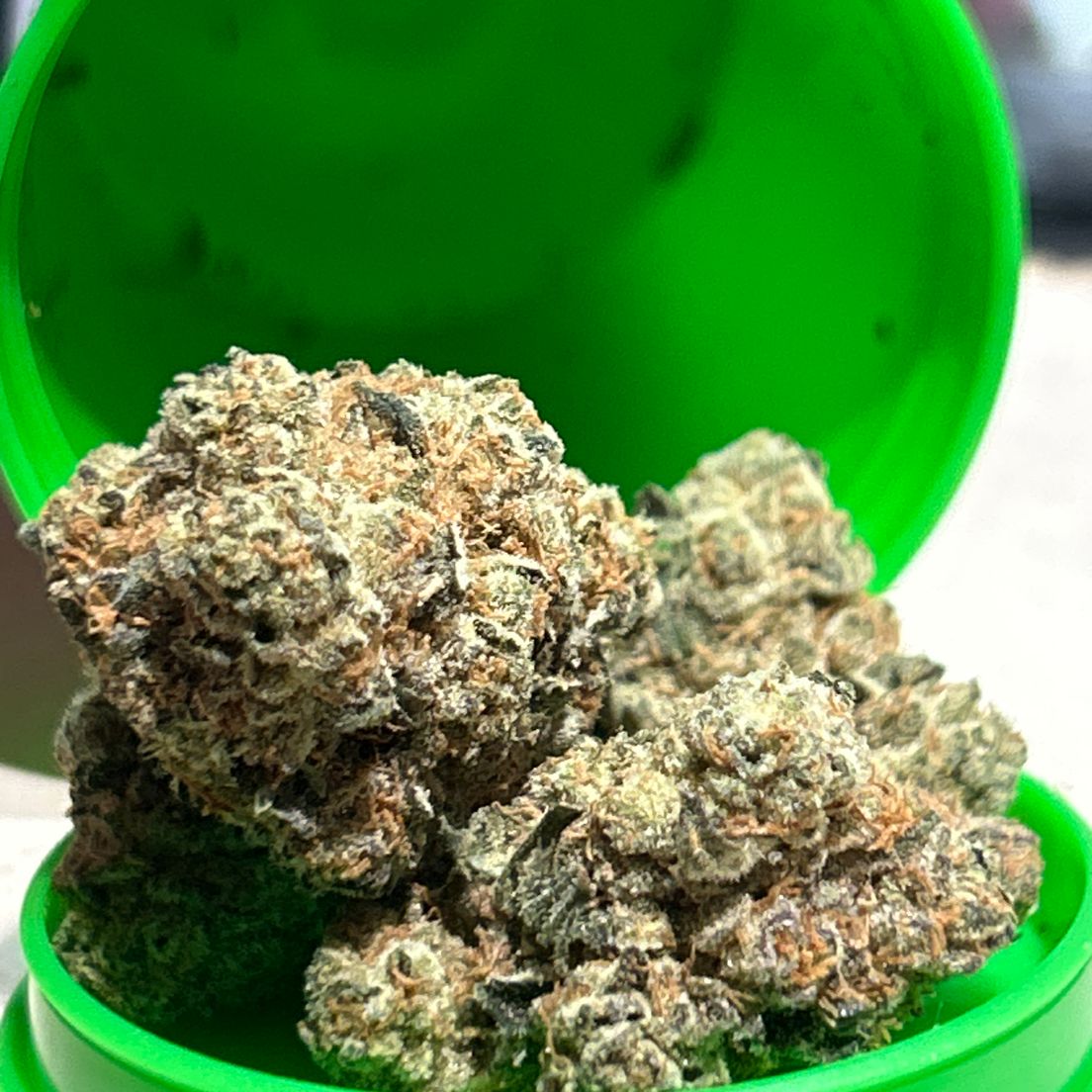 Gotham City Flower