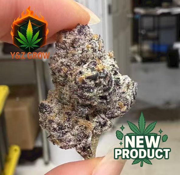 ? NEW DROP ? Blackberry Kush Mintz (Indica 80%) - Premium