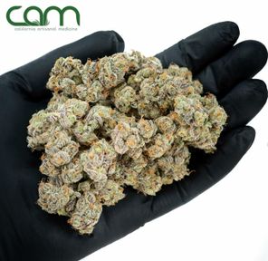 B. Cam 14g Small Flower - Quality 9.5/10 - Confetti Canyon (~22% THC)