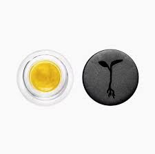 Raw Garden - 1g Live Resin (Pineapple Tonic)