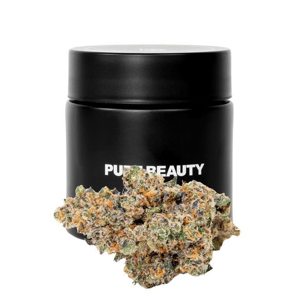 Pure Beauty | Flower | 3.5g | Spritzer