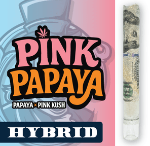 RR|Fancy Franklin|Pink Papaya