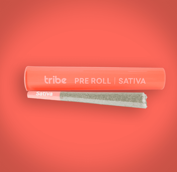 Tribe - Two Step - Sativa - Flower Preroll 1g