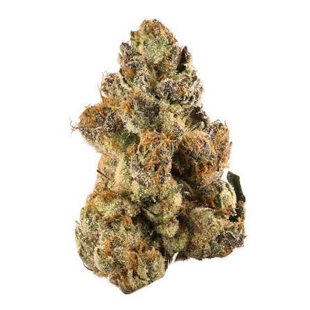 Ghost face Purp AAAA
