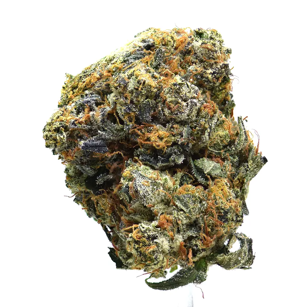 11 Week Pink Kush