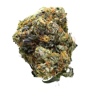 11 Week Pink Kush