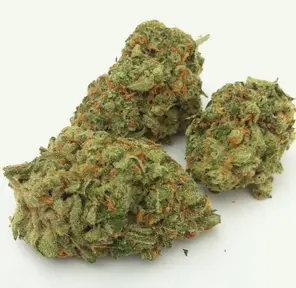 Green Ribbon