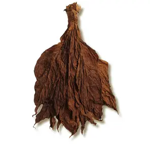 Grabba