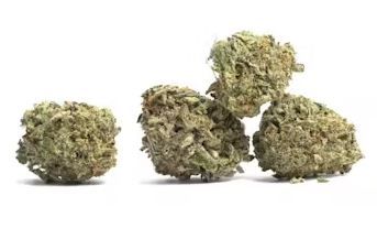 Cookie Wreck