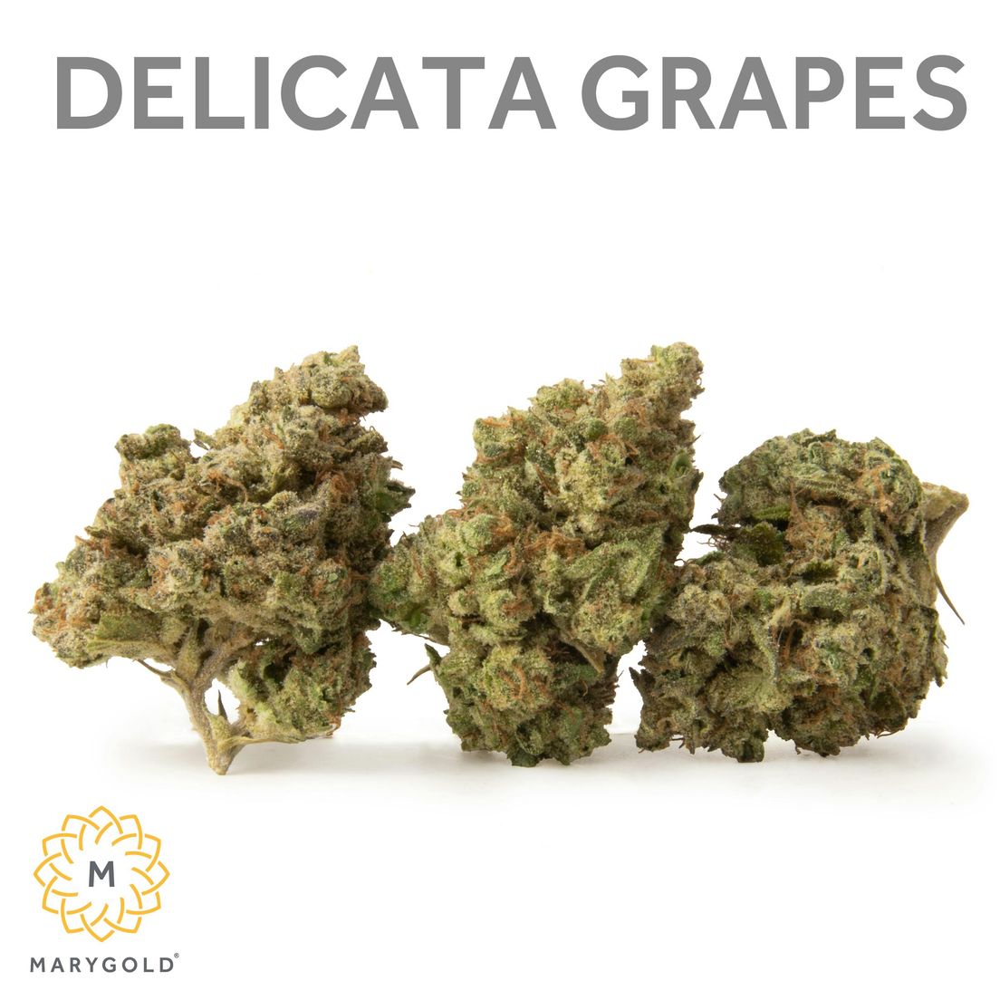 Marygold - Delicata Grapes 3.5g