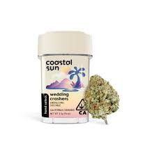 Coastal Sun Flower 3.5g - Wedding Crashers 27%