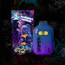 Gramlin Blueberry Waffles $20