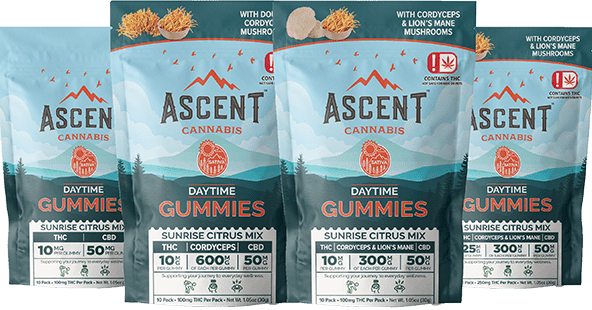 Ascent | 25mg | 10 Pack Preworkout Mushroom Gummy | CBD / Delta 9