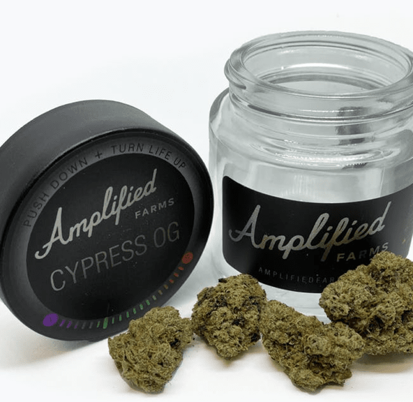 Amplified Farms Cypress OG 3.5g 36.45%