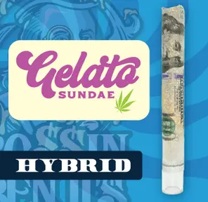 RR|Bossin Benji|Gelato Sundae
