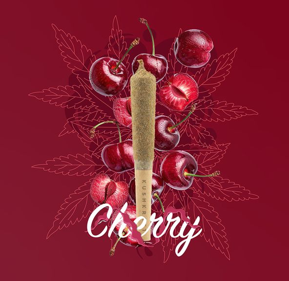 1 x 0.5g Infused Sticky Banger Pre-Roll Hybrid Cherry by KushKraft
