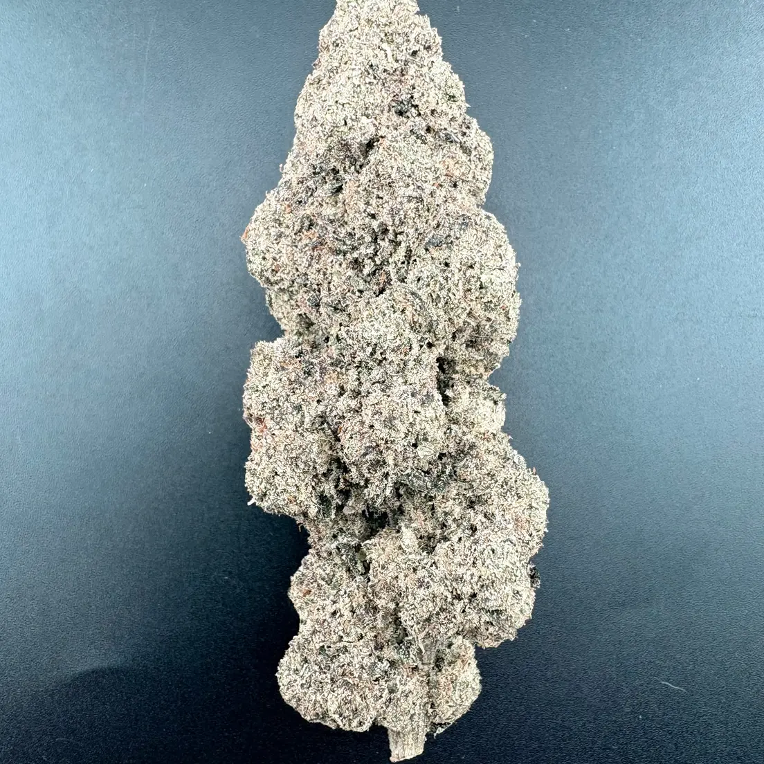 7g - CANDY BEZEL (AAAA+)