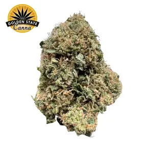 - Golden State Canna - Poison Party | 7g | THC 28%
