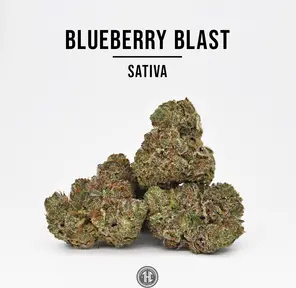 THCa Hemp Flower, Blueberry Blast