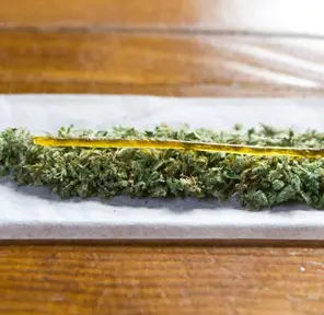 Orange Zkittles X Wifi