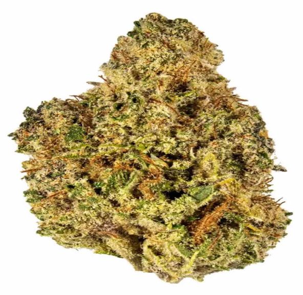 Blackberry Fire